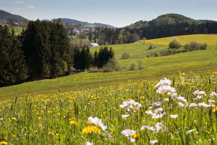 Hotels im Bayerischer Wald