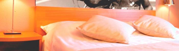 Bild von Advance Zimmer