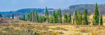 Bild von Zwischen Bergen und Shopping