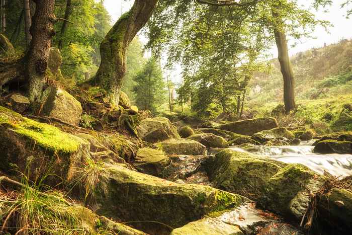 Wochenendtrip im Harz