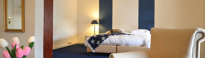 Bild von Suite