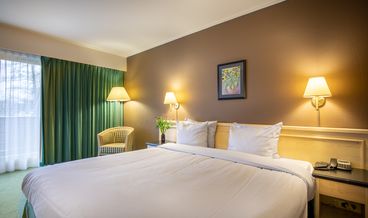 Bild von Economy Zimmer
