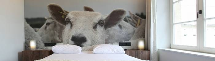 Bild von Luxus Doppelzimmer