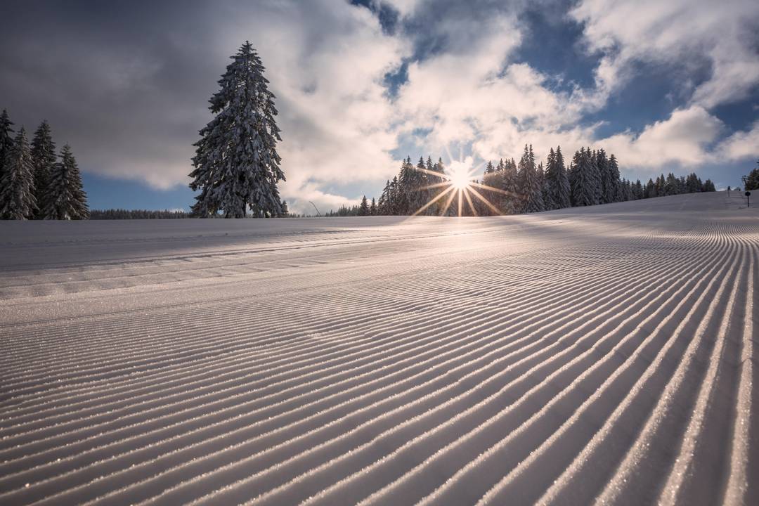 Verbringe Weihnachten im Schwarzwald