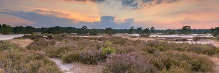 Bild von Zwischen Veluwe und Utrechtse Heuvelrug