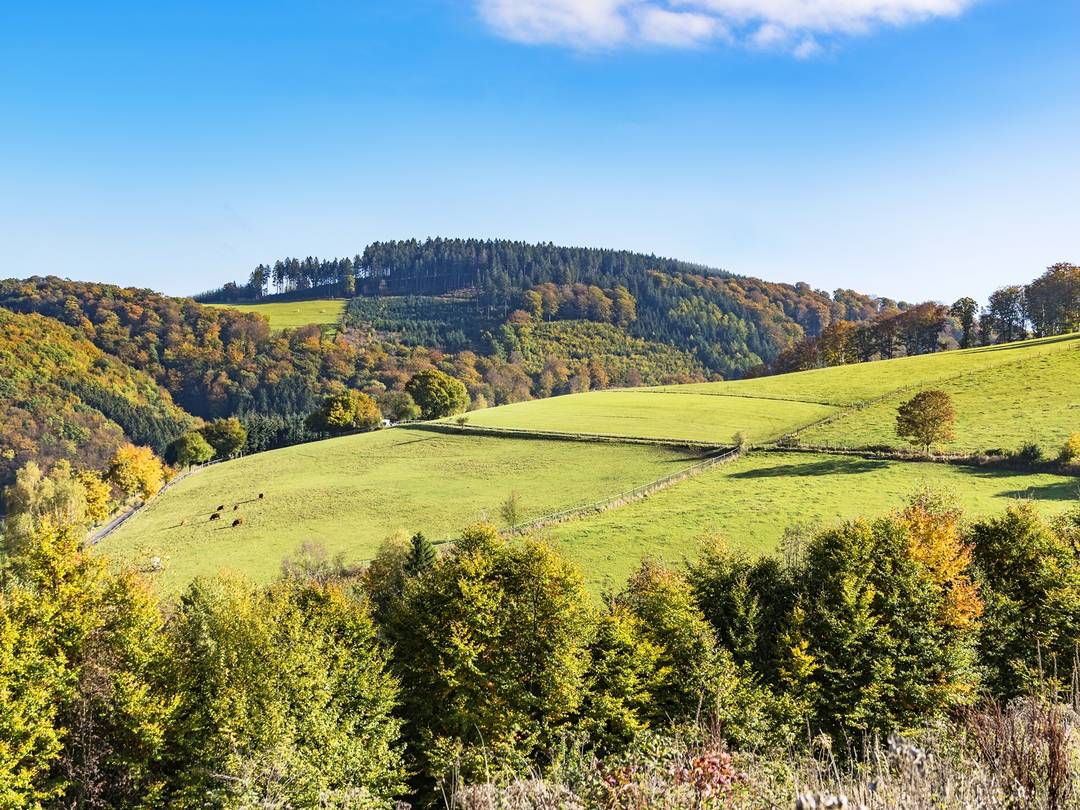 Schöne Hotels im Sauerland