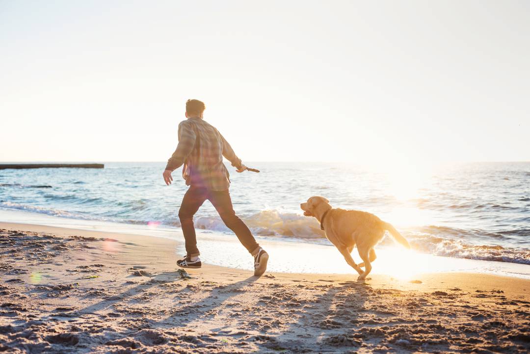 Alle Wellnesshotels mit Hund