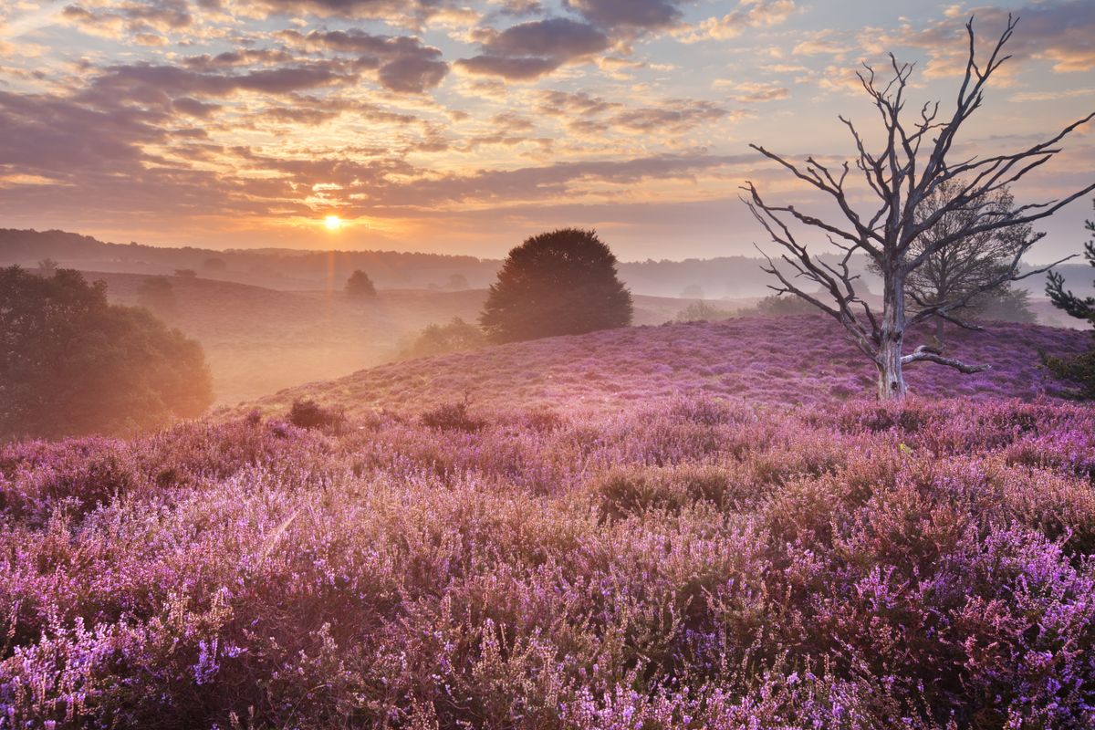 Hotels in der Veluwe