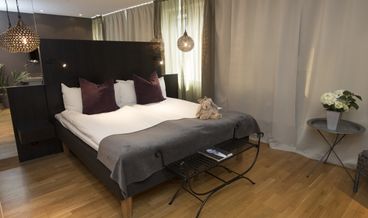 Bild von Standard Zimmer