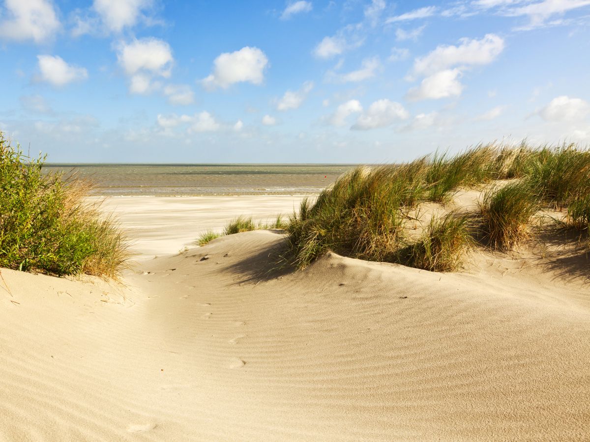 Urlaub in Belgien am Meer