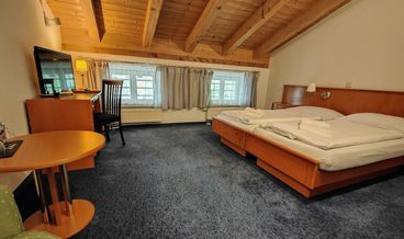 Bild von Basic-Doppelzimmer