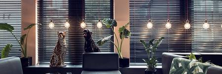 Bild von Ein Design-Hingucker