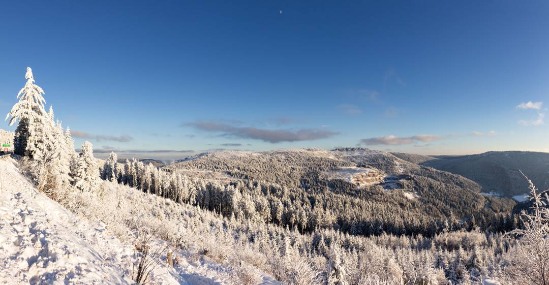Weihnachten in Baden-Württemberg feiern?