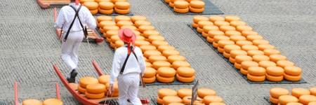 Bild von Käse soweit das Auge reicht