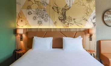 Bild von Suite Special