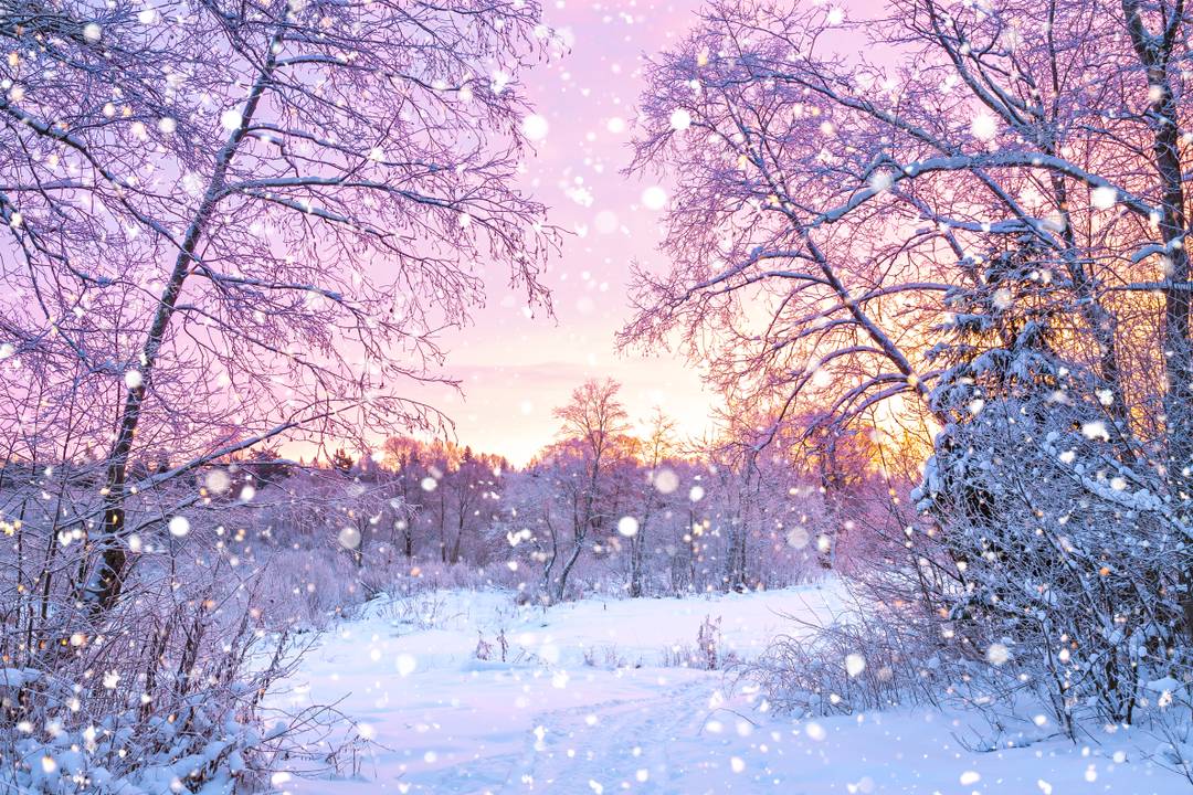 Winter Sale - Last Minute Rabatt sichern
