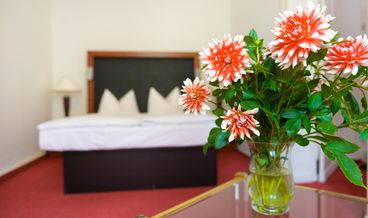 Bild von Standard-Doppelzimmer