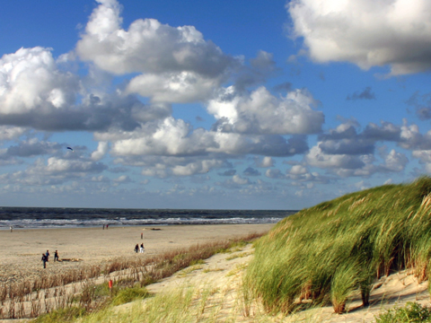 Bild von Lust auf Strand?