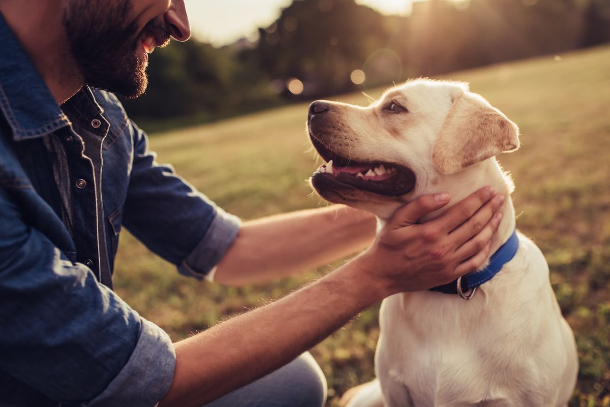 Hotels mit Hund in Deutschland buchen