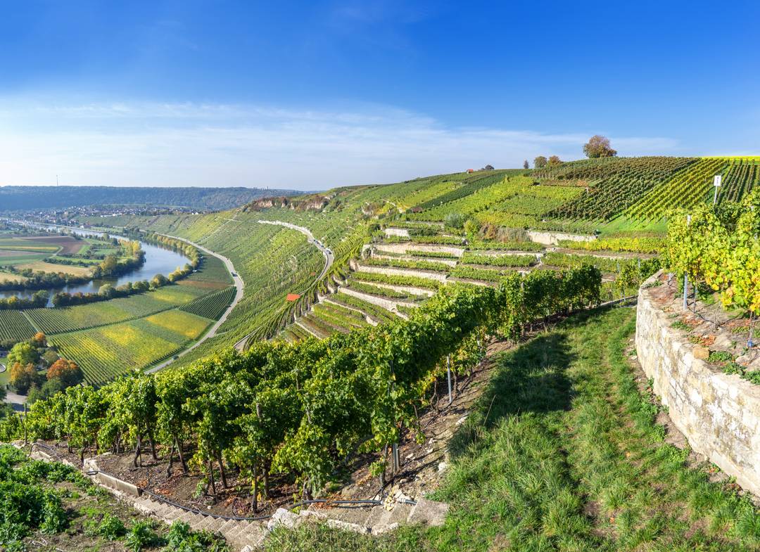 Wellnesshotel in Baden-Württemberg - jetzt buchen