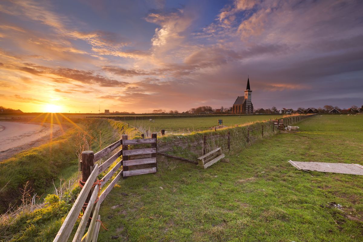 Hotels in Den Hoorn