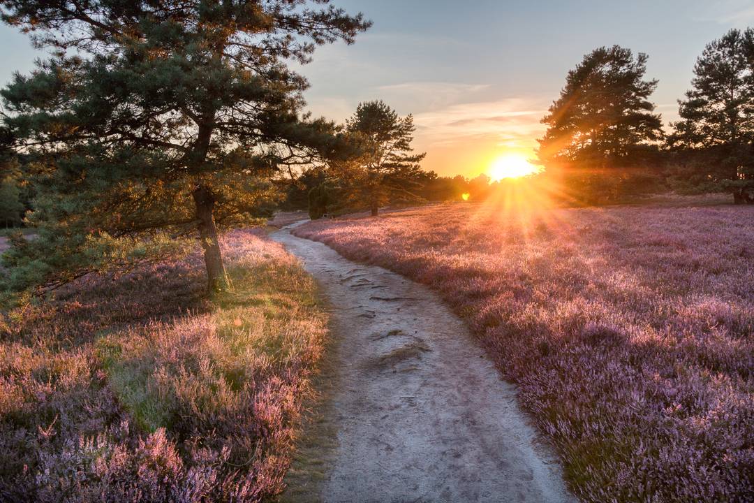 Kurzurlaub in Lüneburger Heide