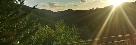 Bild von Von Natur umgeben