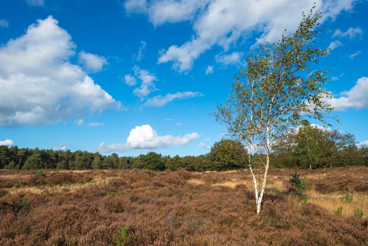 Hotels in Lochem