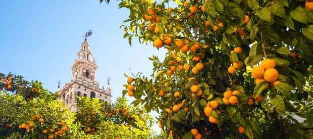 In welchem Stadtviertel von Sevilla übernachtest du am besten?