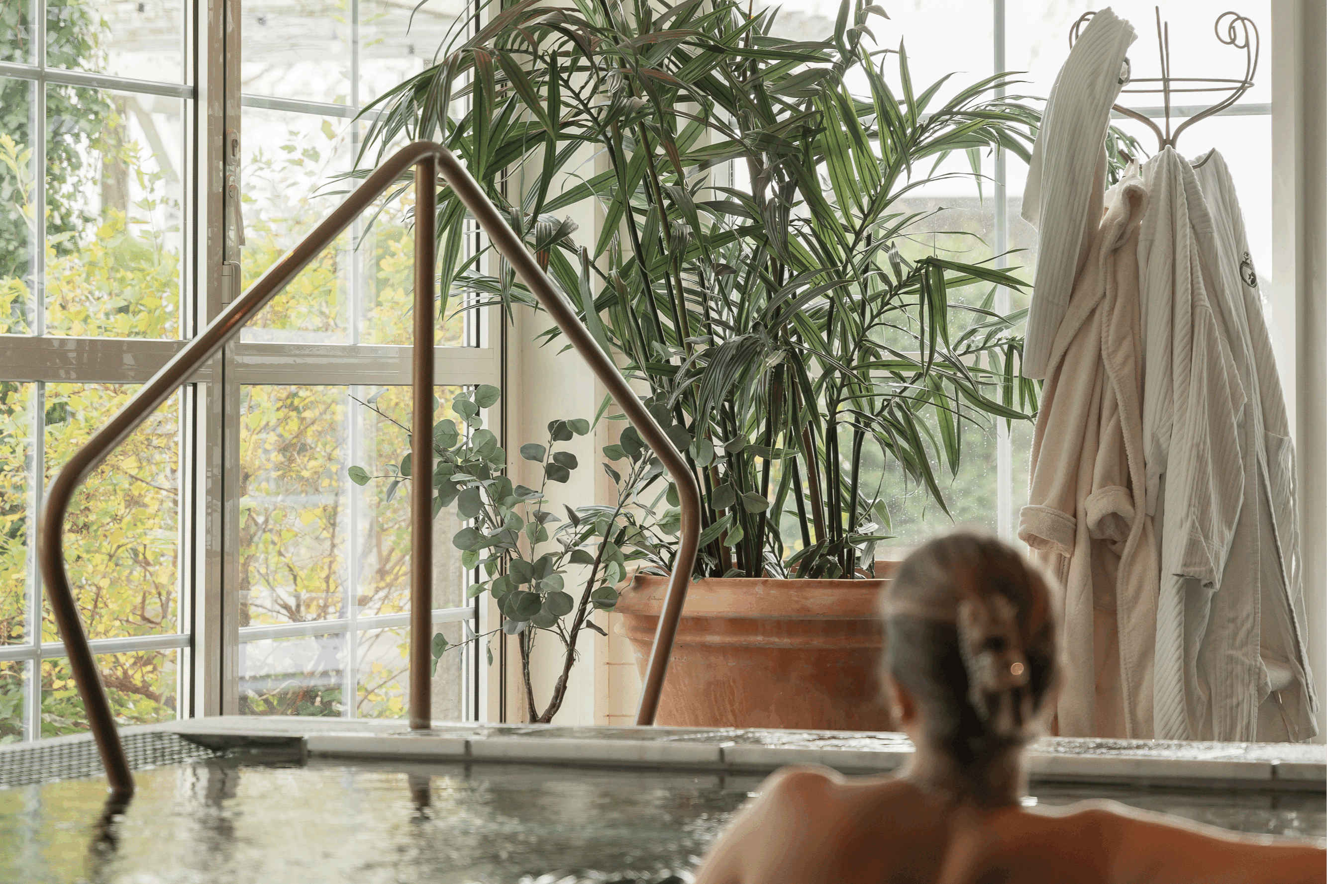 Wellness