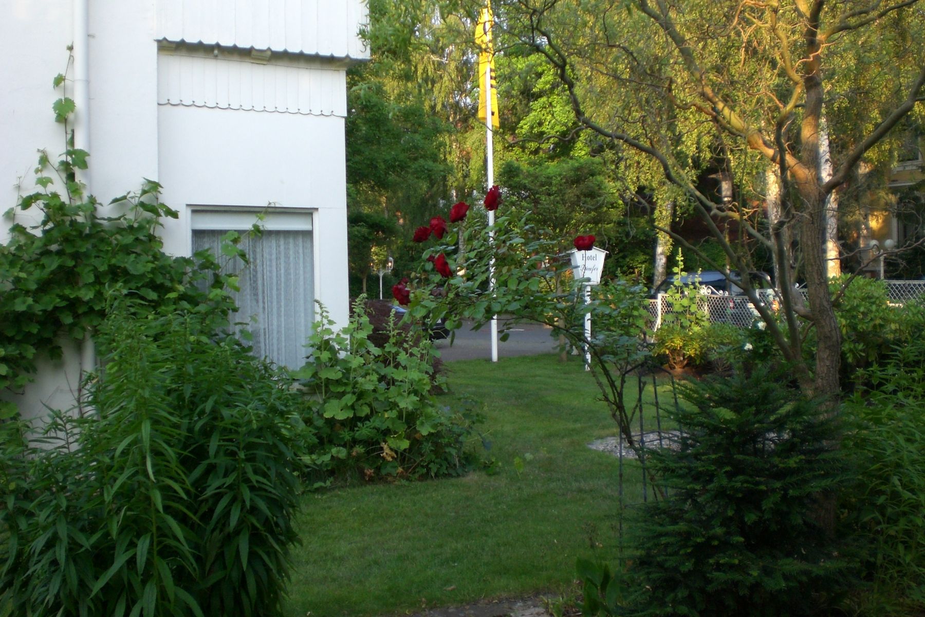 Hauptbilder
