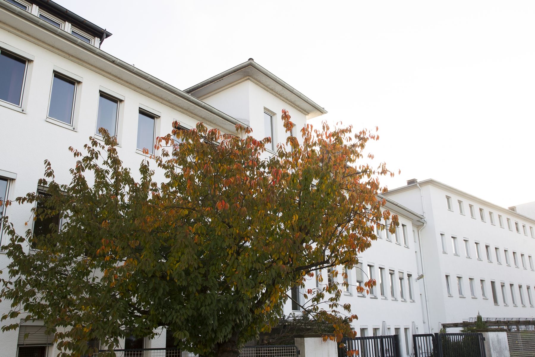Fassade