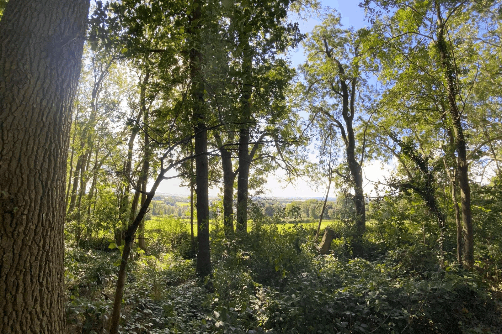 Umgebung
