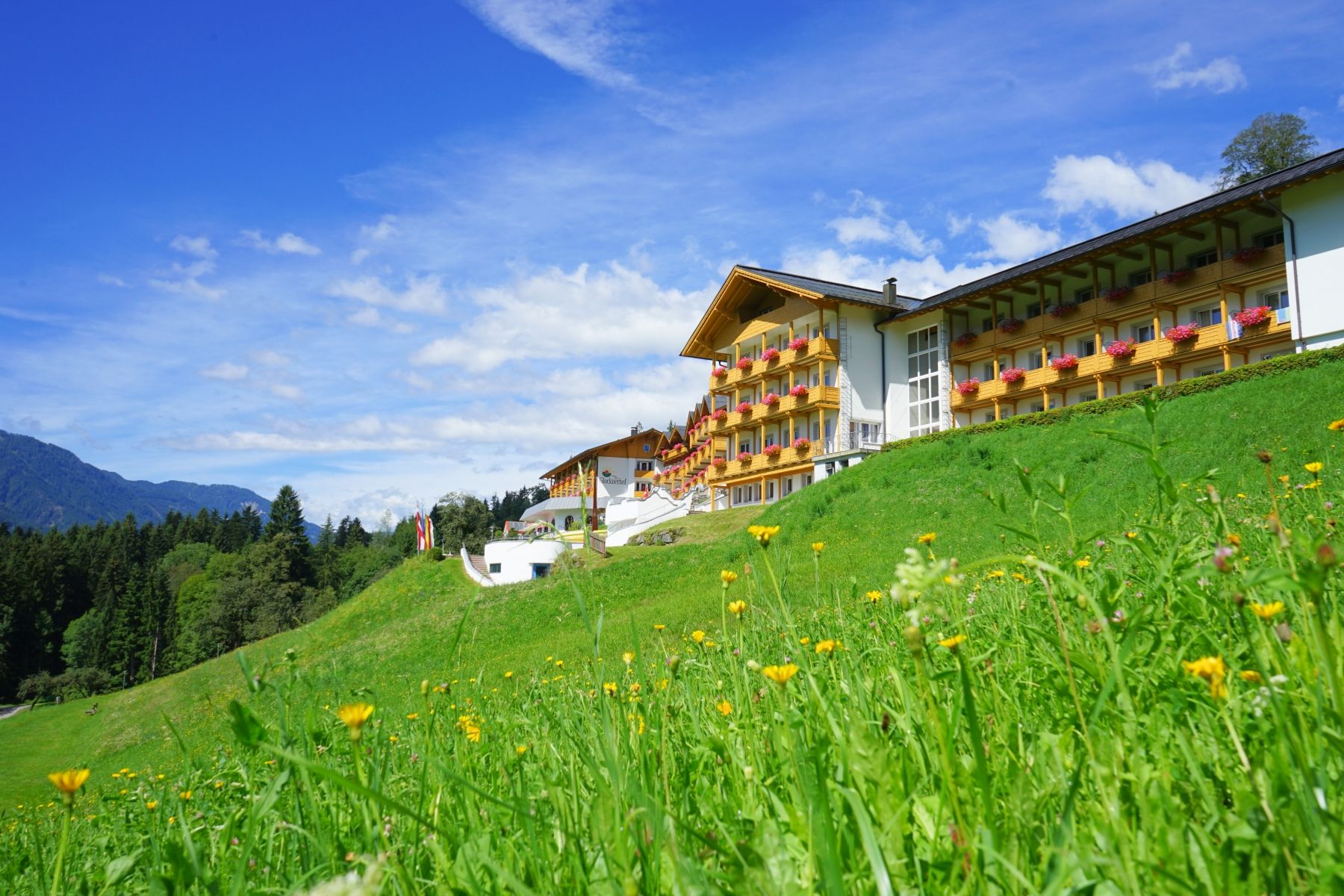 Fassade