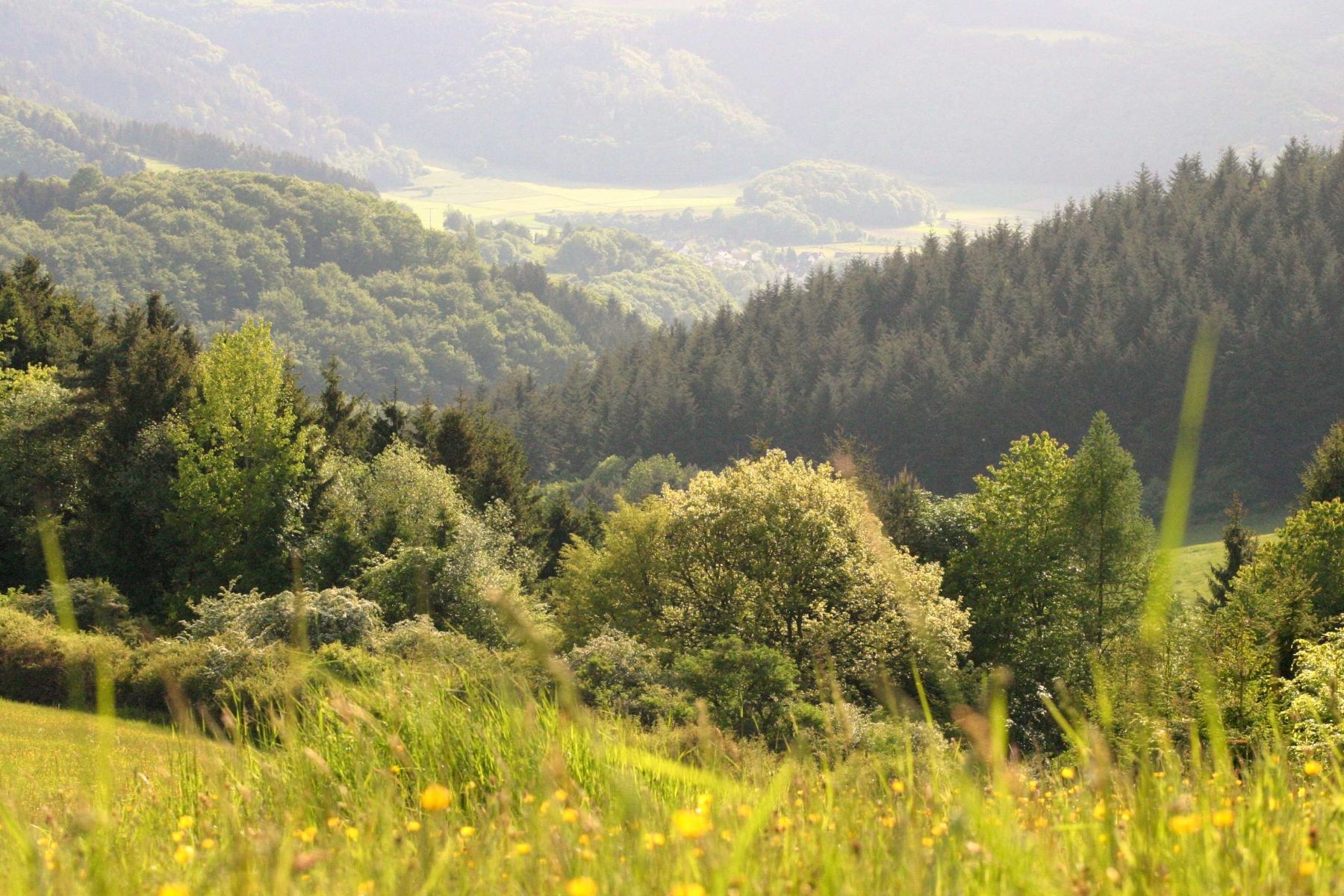 Umgebung