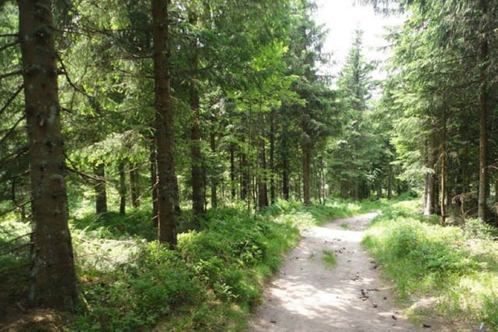 Allgemein
