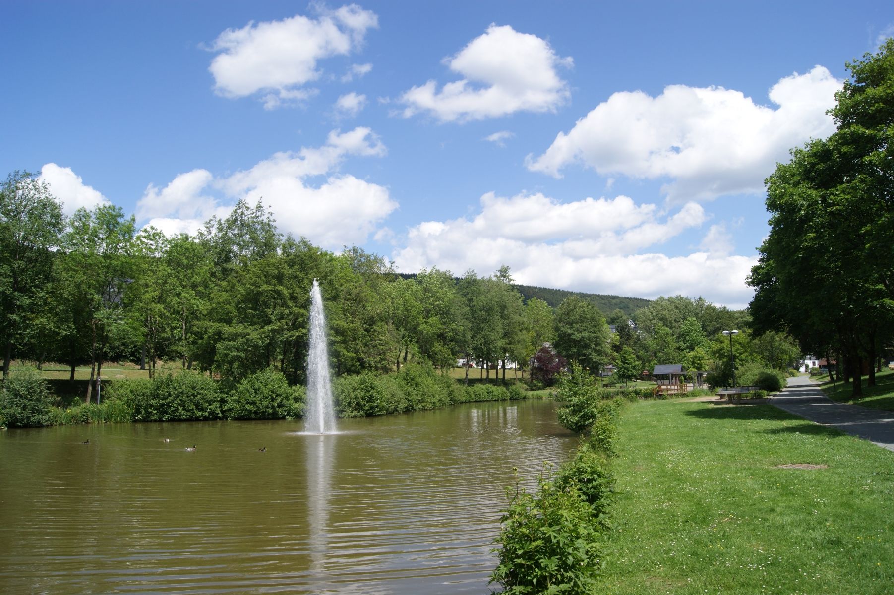 Umgebung