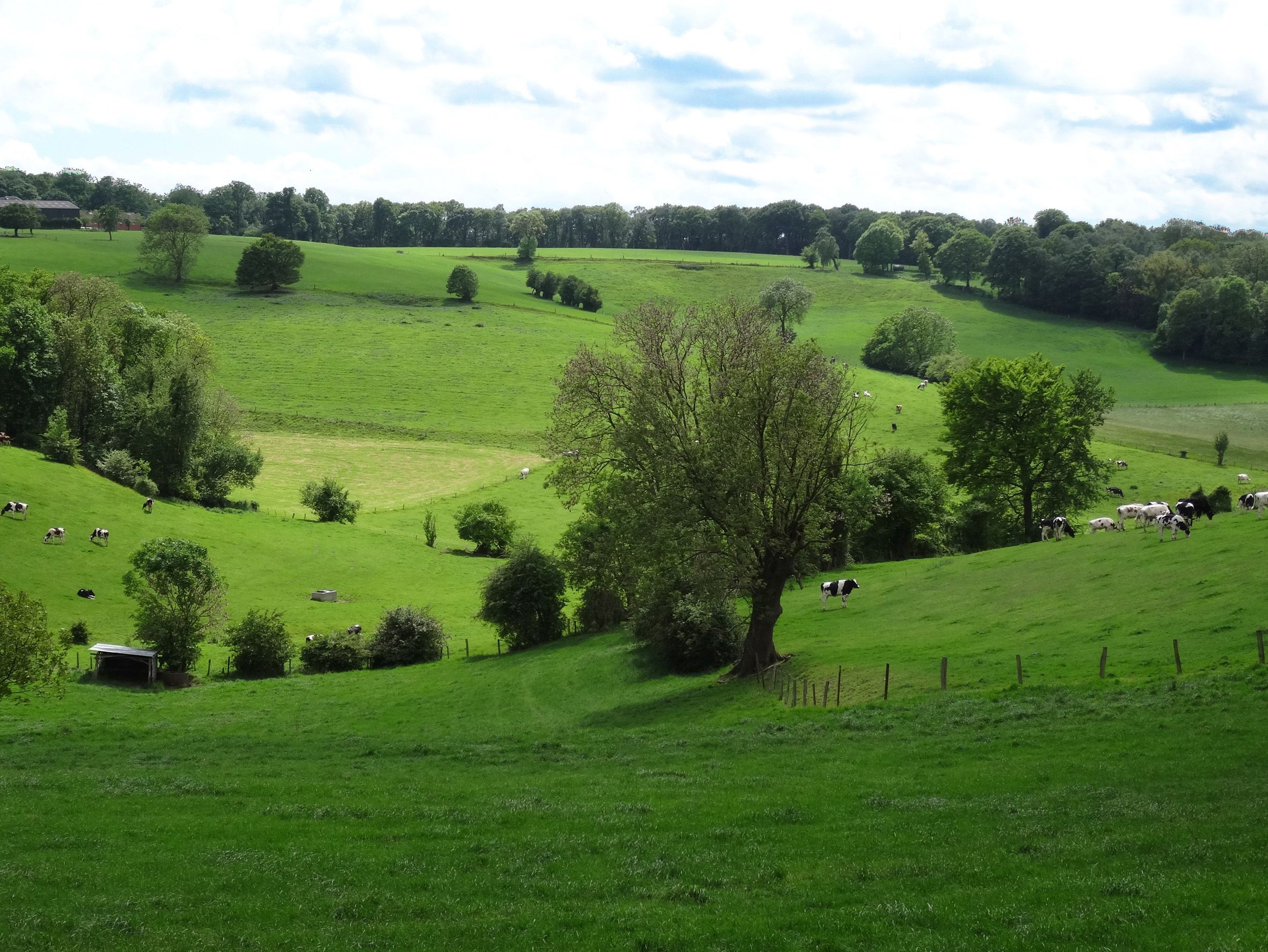 Umgebung
