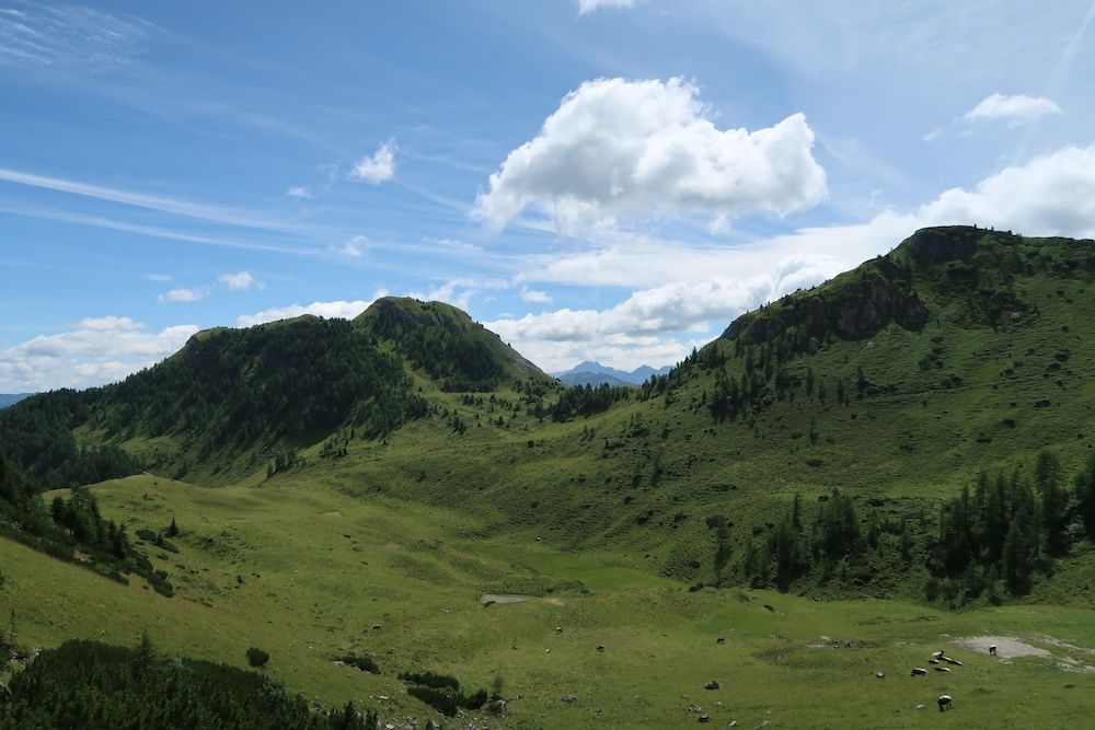 Allgemein