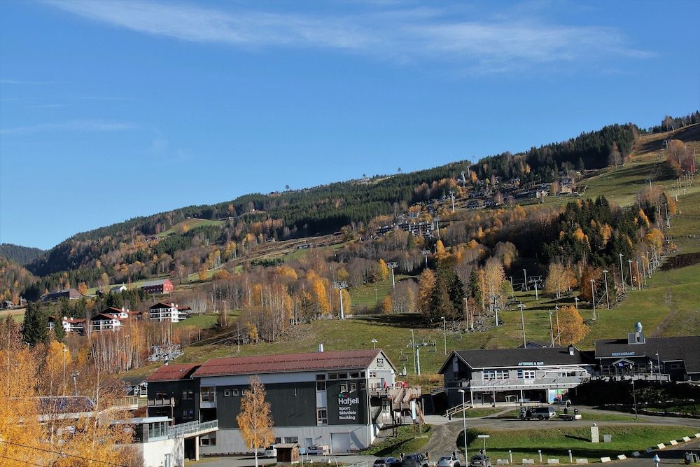 Allgemein