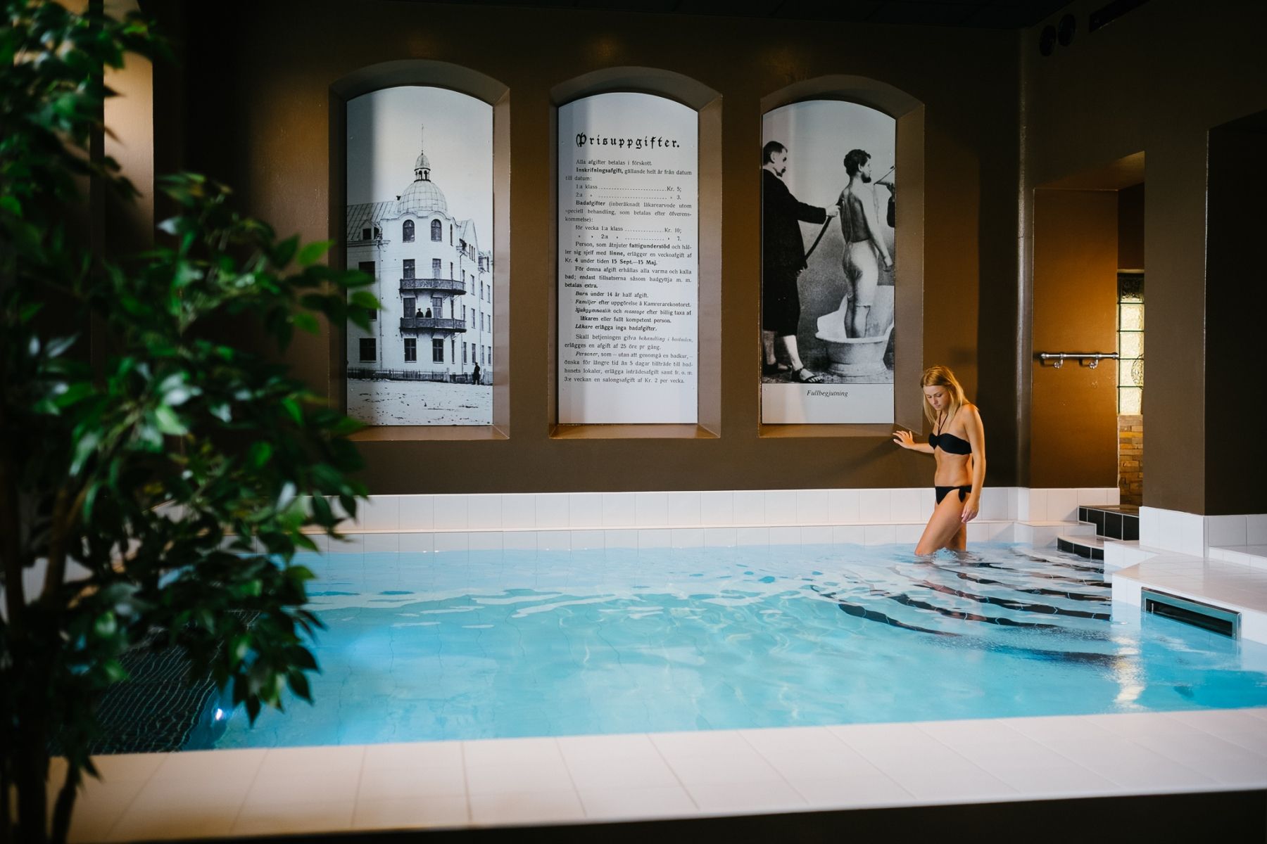 Wellness