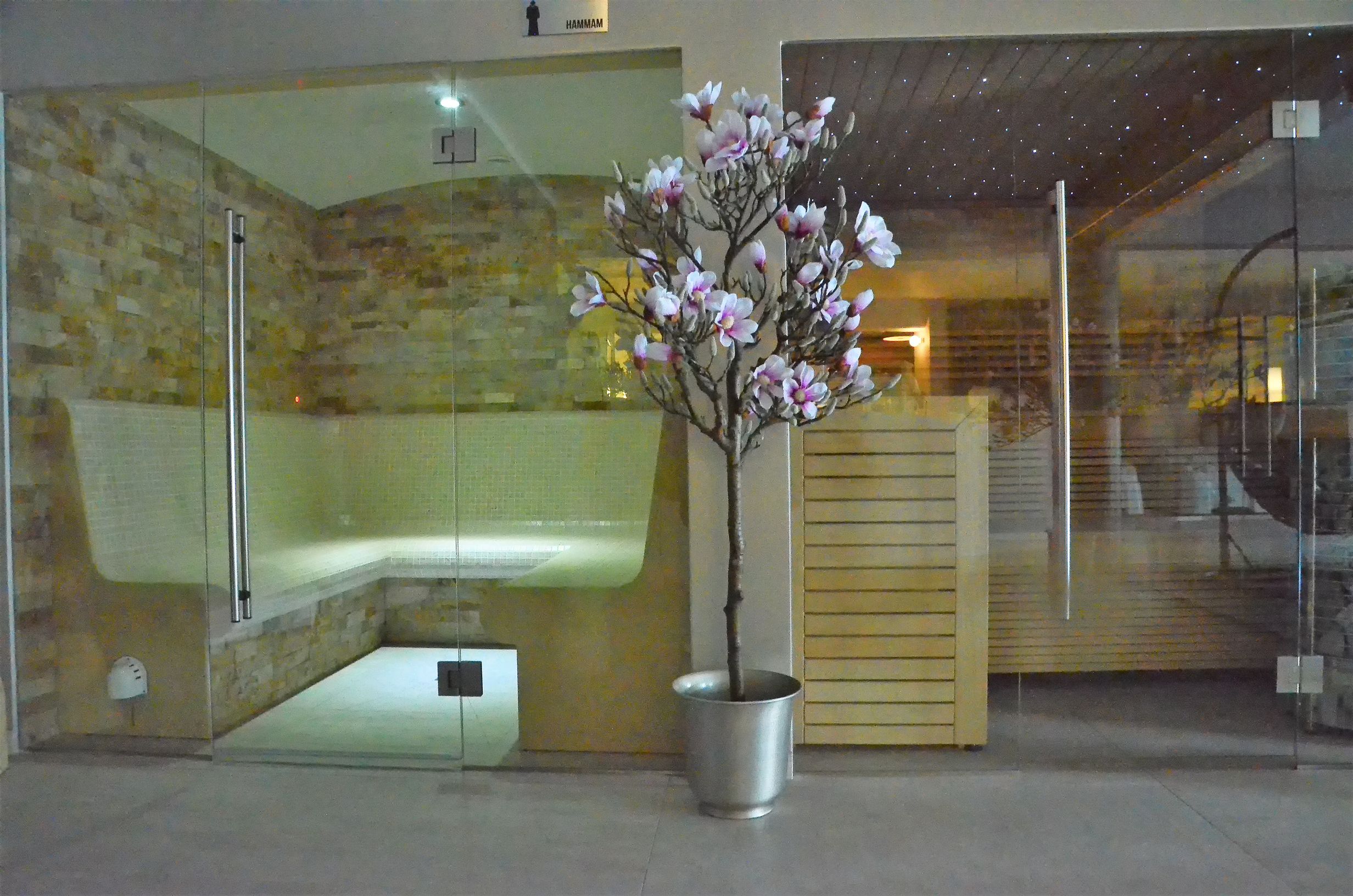Wellness