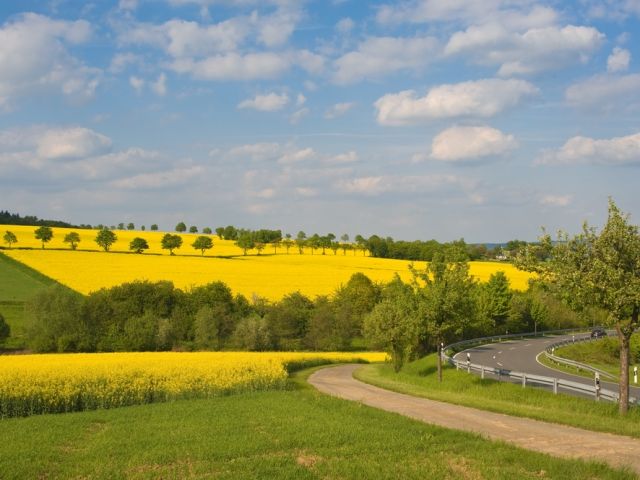 Umgebung