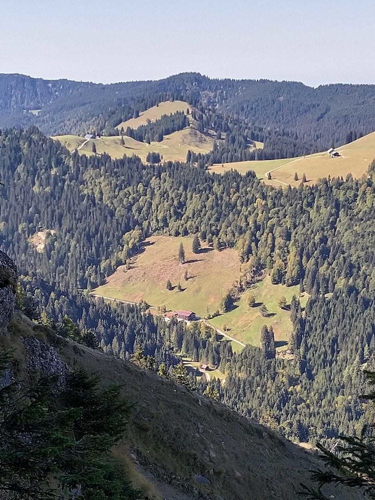 Allgemein