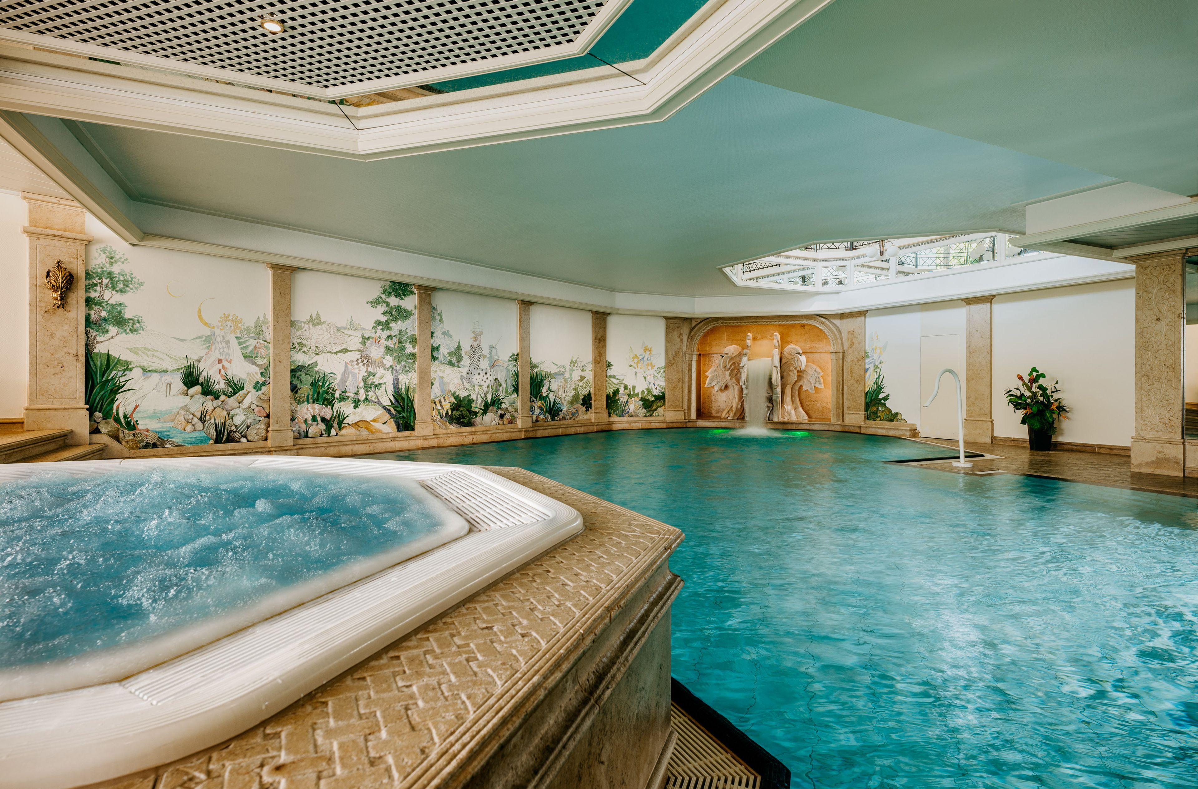 Wellness