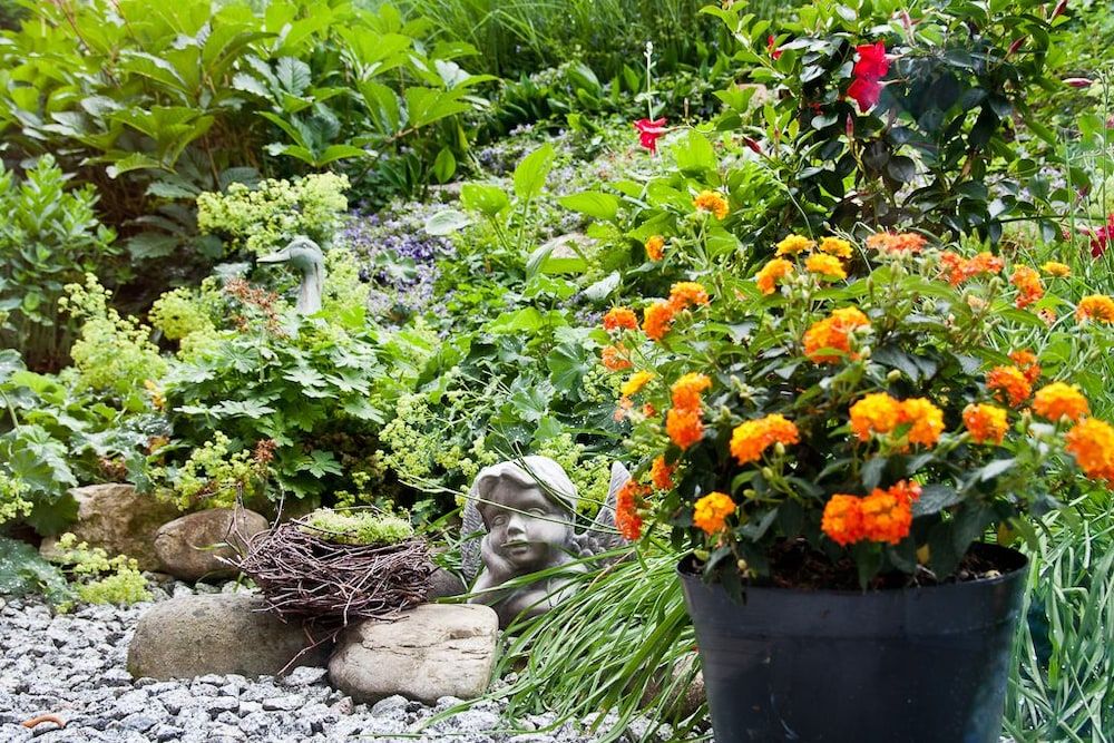 Allgemein