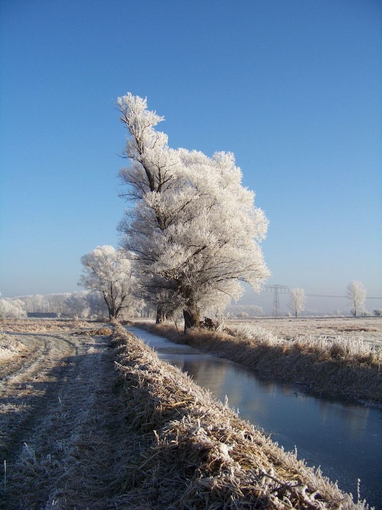 Allgemein
