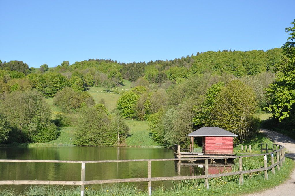 Umgebung
