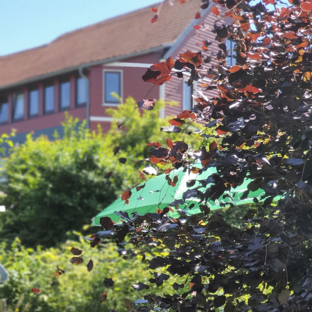 Allgemein