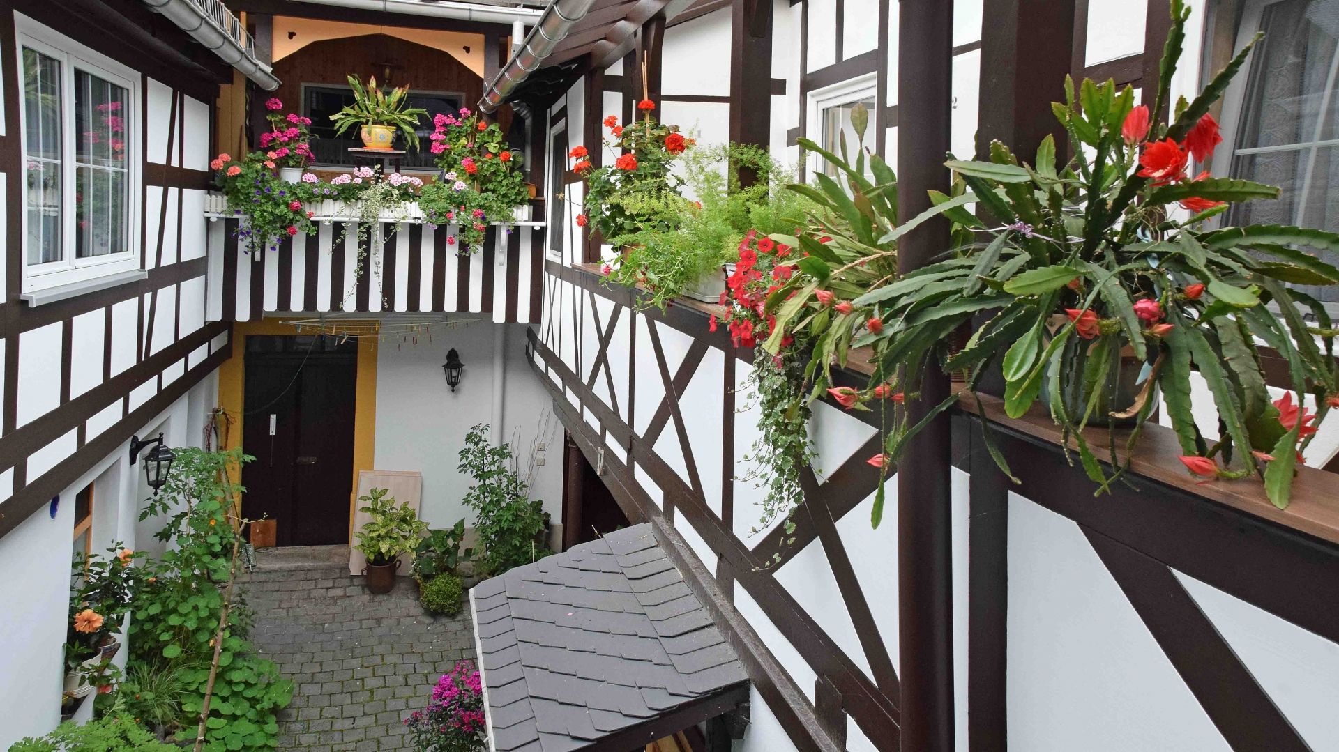 Hauptbilder